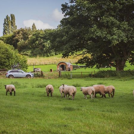 Hidden Wood Glamping And The Hideaway Cabin Warminster Exteriör bild