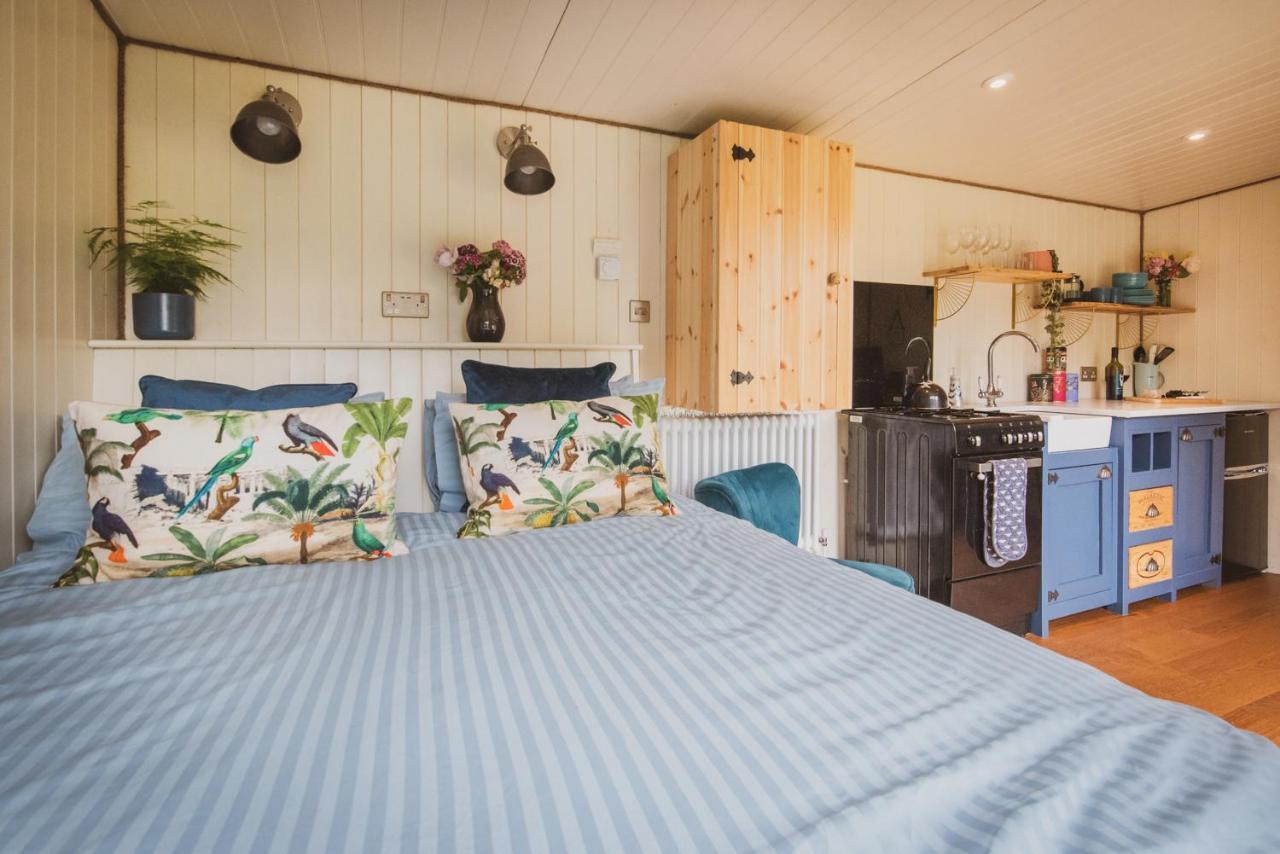 Hidden Wood Glamping And The Hideaway Cabin Warminster Exteriör bild