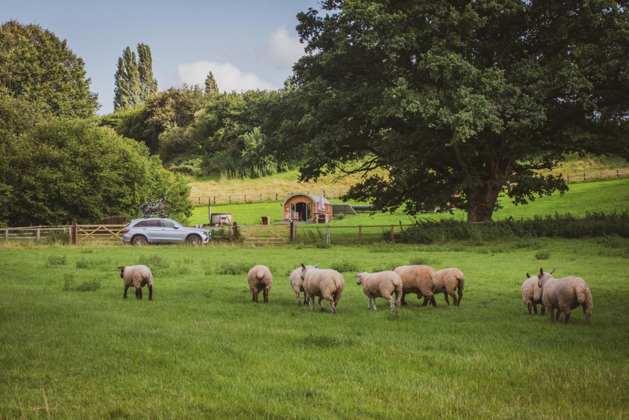 Hidden Wood Glamping And The Hideaway Cabin Warminster Exteriör bild