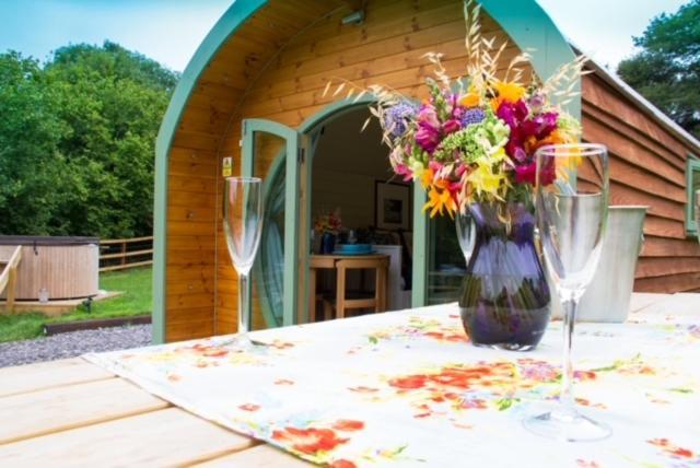 Hidden Wood Glamping And The Hideaway Cabin Warminster Exteriör bild
